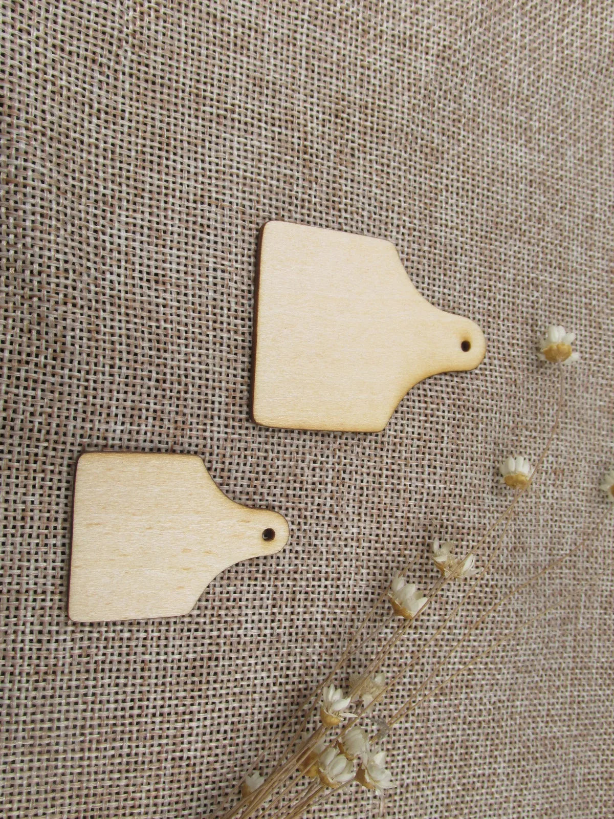 Unfinished Laser Cut Wooden Earrings Blank Pendant Wood Home Animal Bull Cow Shapes For DIY Jewelry Project Making