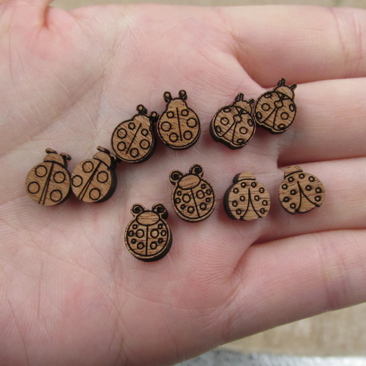 5 Pair Unfinished Blank Insect Bugs Wooden Ladybug Cabochon Charm Wood Shape Cutouts For DIY Craft  Earring