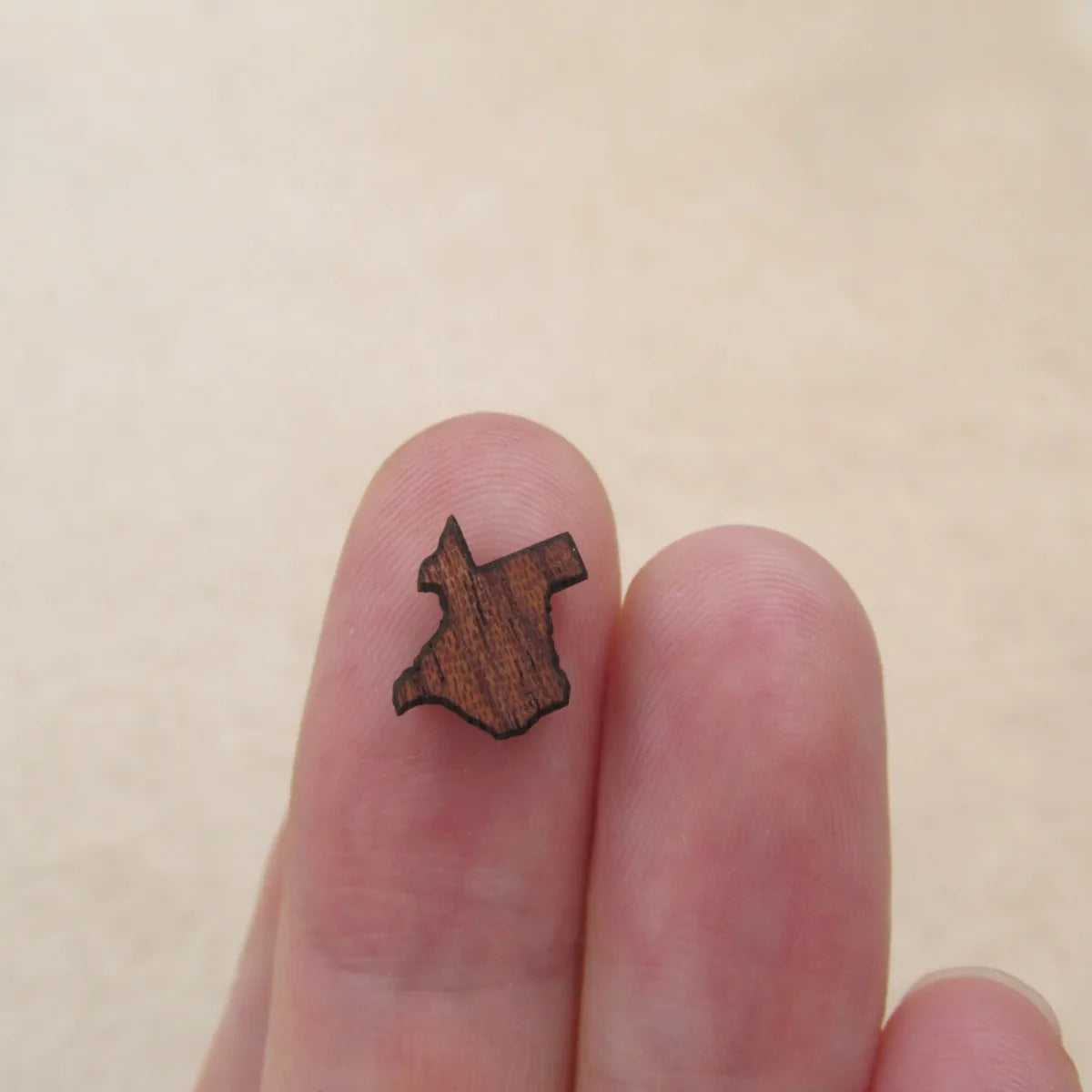 Laser cut Mountain flower map Blank Wood Cabochon Mini Wooden Shape Earring Supplies