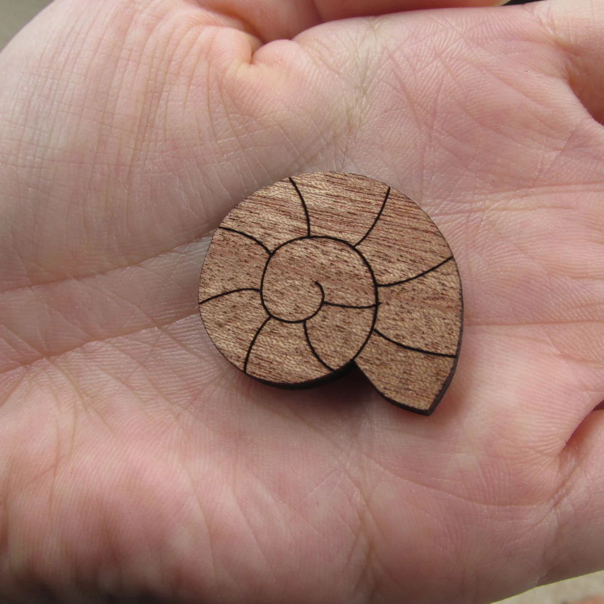 3 Pair Unfinished Beach Ocean Animal Wooden Shells Shape Cutout For Brooches Pin Magnet Pendant Jewerly Diy Making