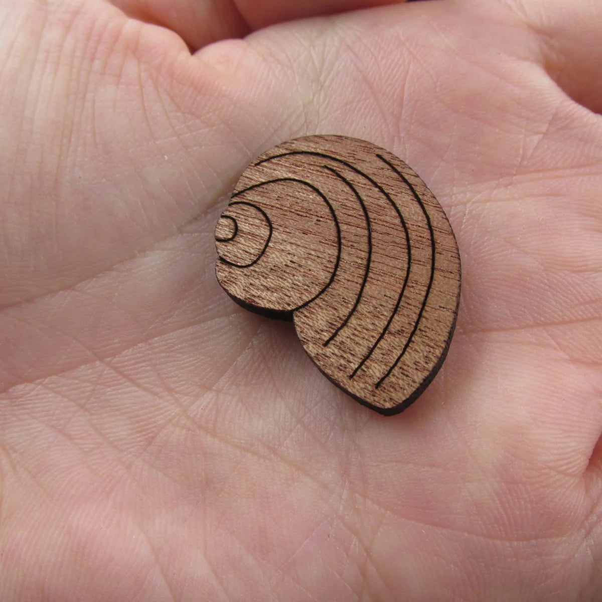 3 Pair Unfinished Beach Ocean Animal Wooden Shells Shape Cutout For Brooches Pin Magnet Pendant Jewerly Diy Making