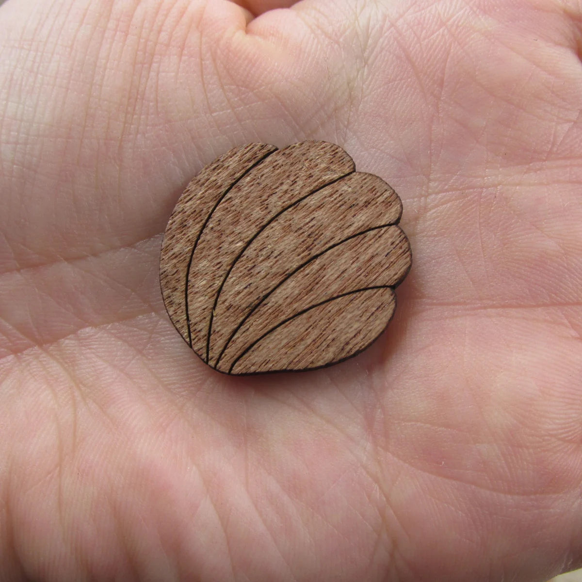 3 Pair Unfinished Beach Ocean Animal Wooden Shells Shape Cutout For Brooches Pin Magnet Pendant Jewerly Diy Making