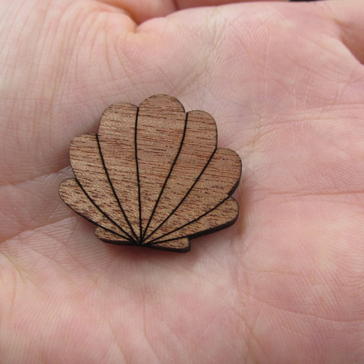 3 Pair Unfinished Beach Ocean Animal Wooden Shells Shape Cutout For Brooches Pin Magnet Pendant Jewerly Diy Making