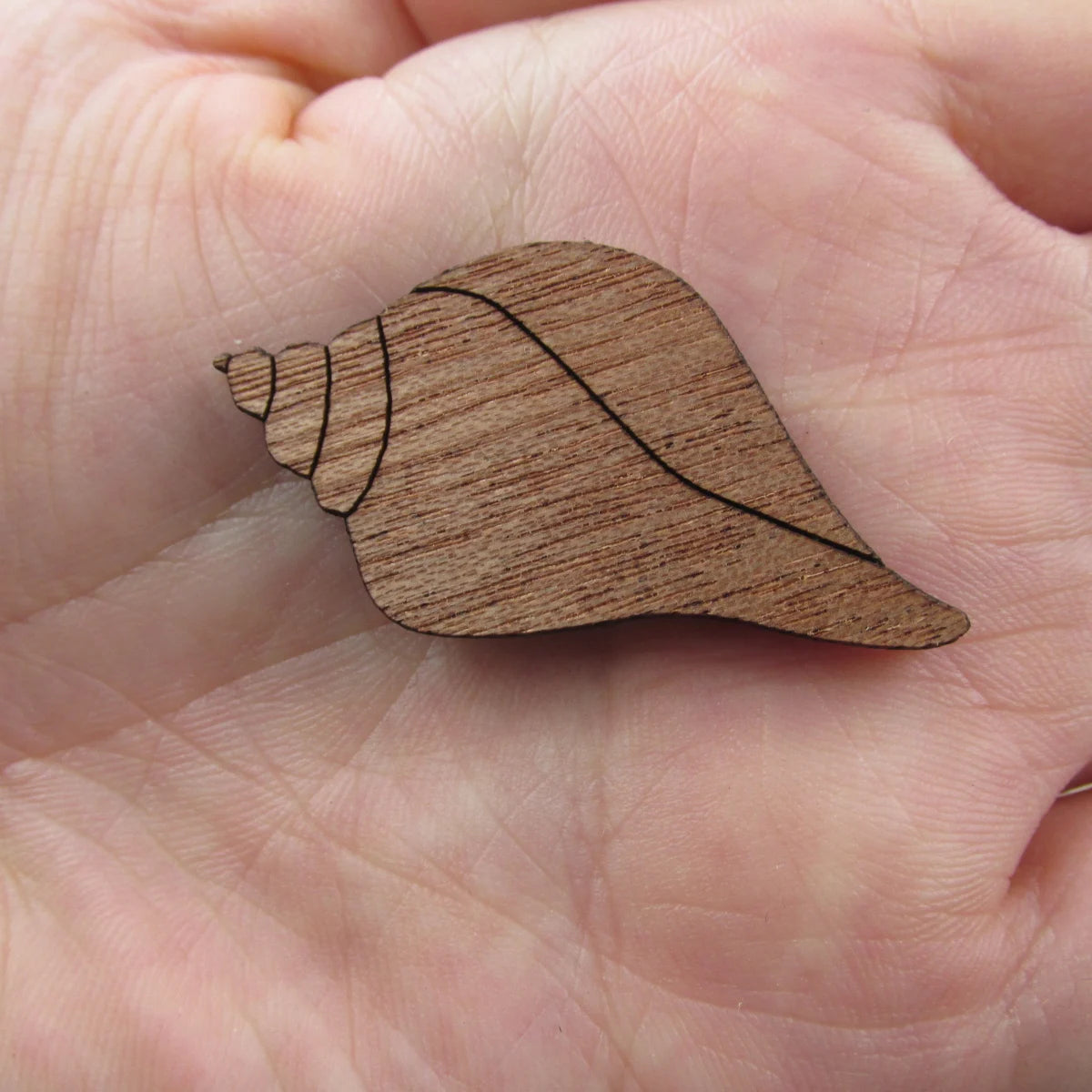 3 Pair Unfinished Beach Ocean Animal Wooden Shells Shape Cutout For Brooches Pin Magnet Pendant Jewerly Diy Making