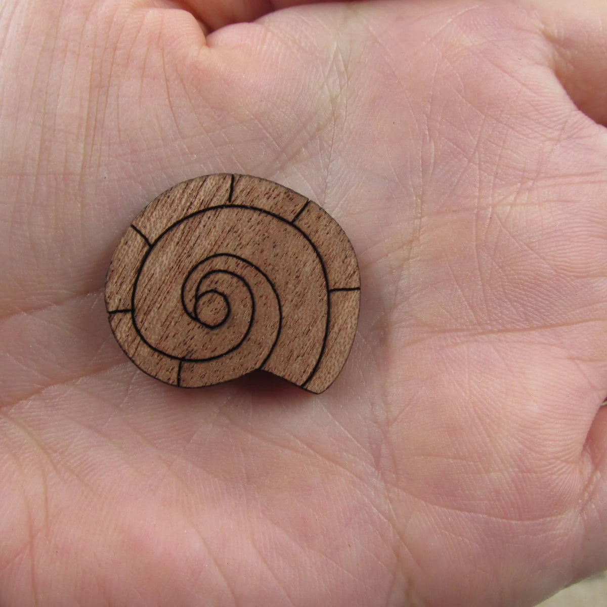 3 Pair Unfinished Beach Ocean Animal Wooden Shells Shape Cutout For Brooches Pin Magnet Pendant Jewerly Diy Making