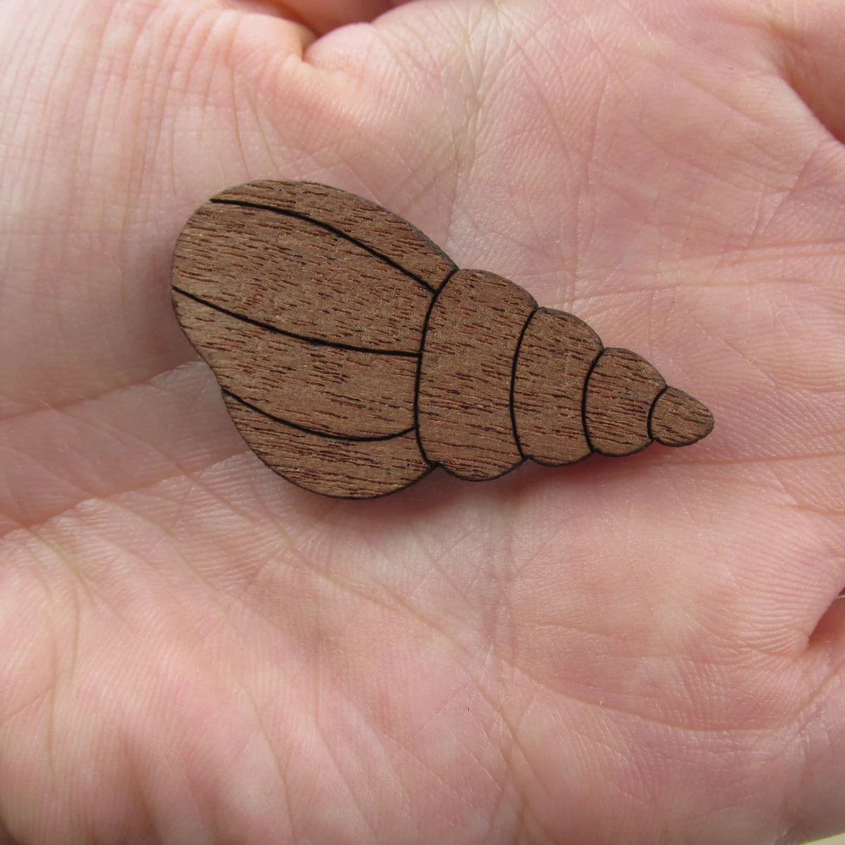 3 Pair Unfinished Beach Ocean Animal Wooden Shells Shape Cutout For Brooches Pin Magnet Pendant Jewerly Diy Making