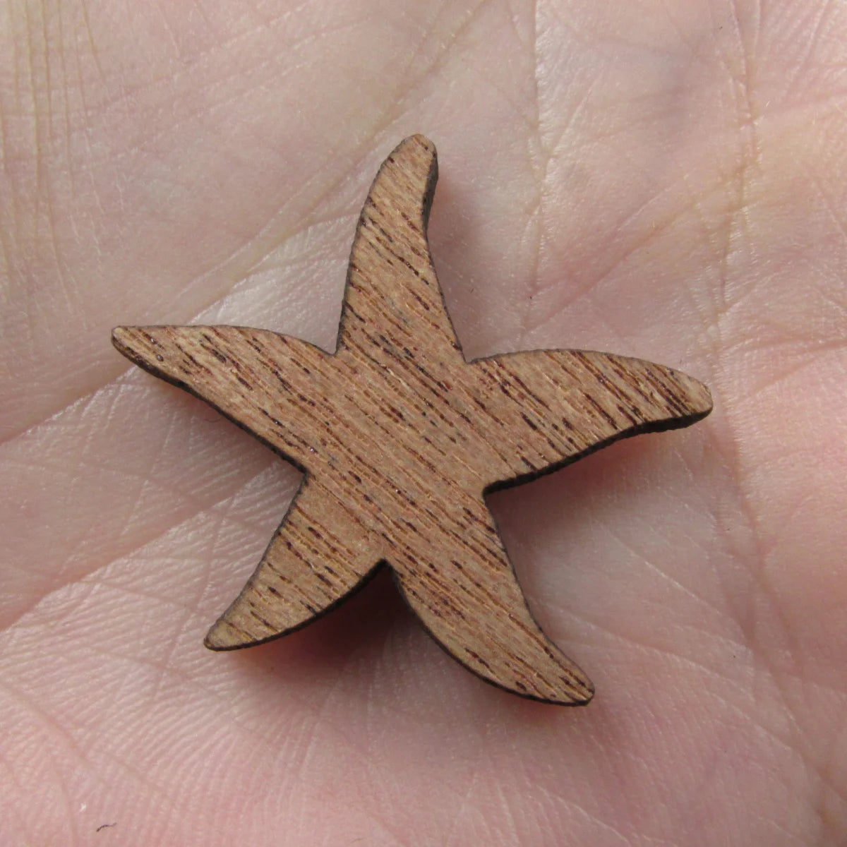 3 Pair Unfinished Ocean Animal Wooden Star Fish Sand Dollar Shape Cutout For Brooches Pin Magnet Pendant Charms Diy Making